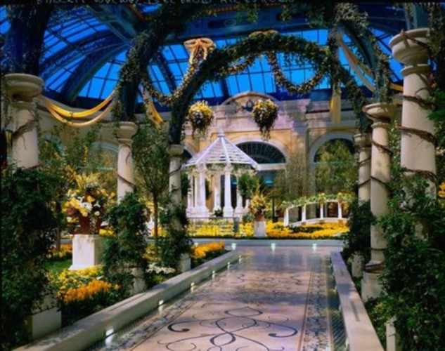 Bellagio Conservatory Yellow Flowers | Suites at Bellagio