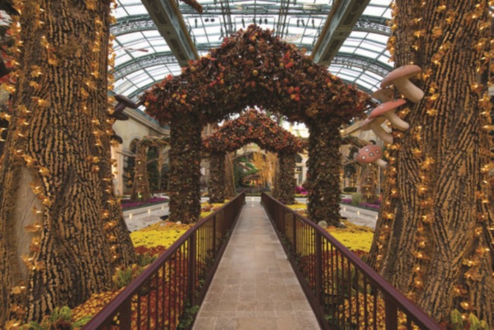 Conservatory Botanical Garden | Suites at Bellagio