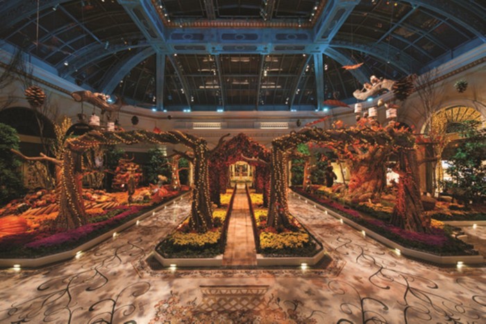 Conservatory Botanical Garden | Suites at Bellagio