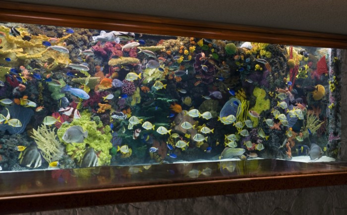 Lobby Aquarium | Suites at Mirage Resort & Casino